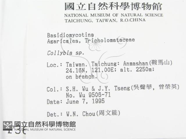 登錄號:F0003656藏品圖，第2張