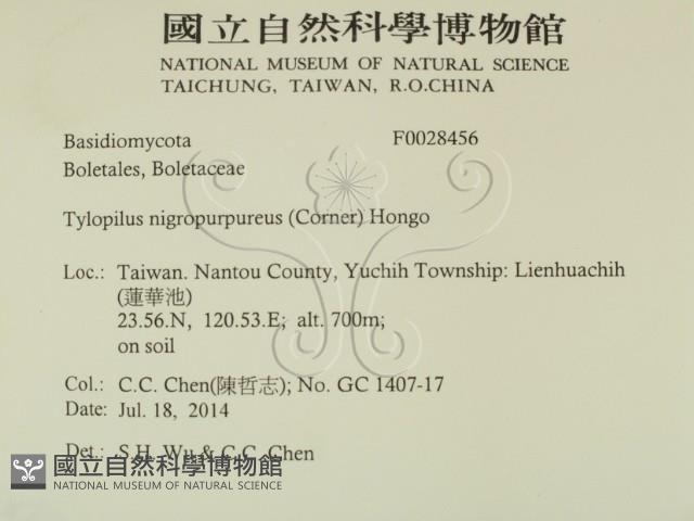 登錄號:F0028456藏品圖，第2張