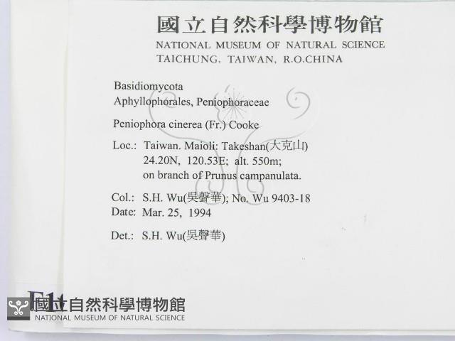 登錄號:F0010456藏品圖，第2張