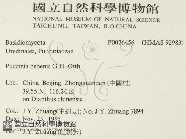 登錄號:F0026456藏品圖，第2張