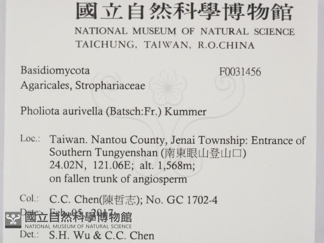 登錄號:F0031456藏品圖，第2張