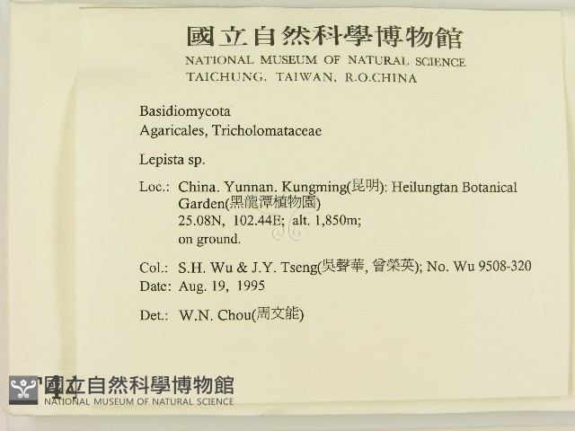 登錄號:F0004456藏品圖，第2張