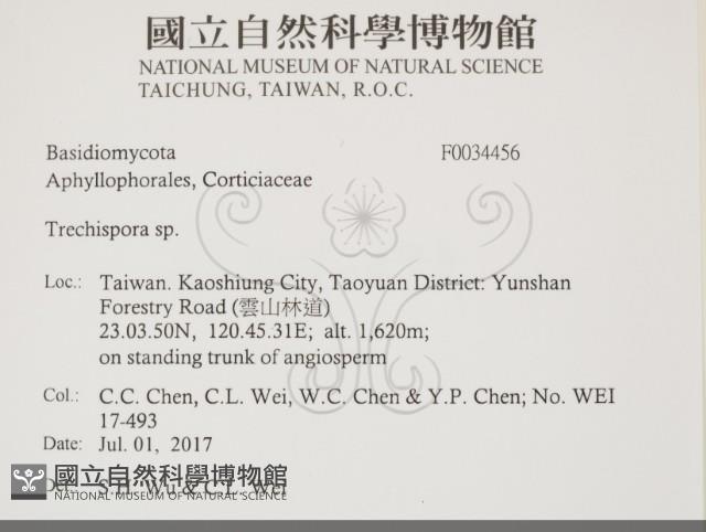 Accession Number:F0034456 Collection Image, Figure 2, Total 3 Figures