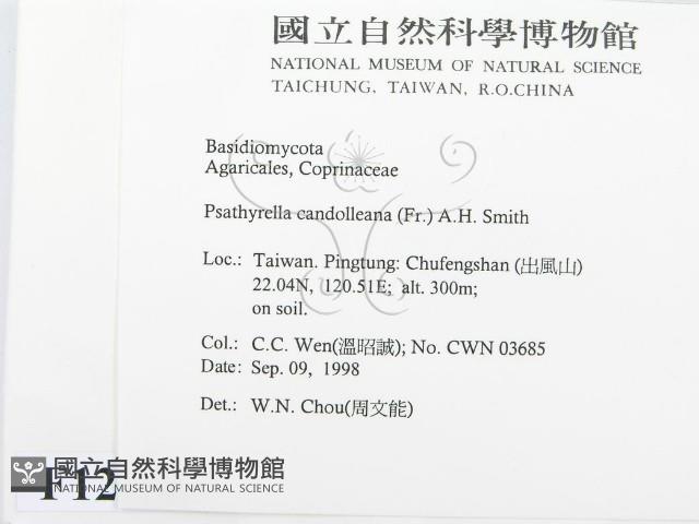登錄號:F0012456藏品圖，第2張