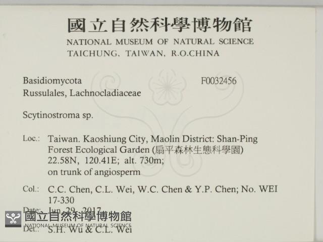 登錄號:F0032456藏品圖，第2張