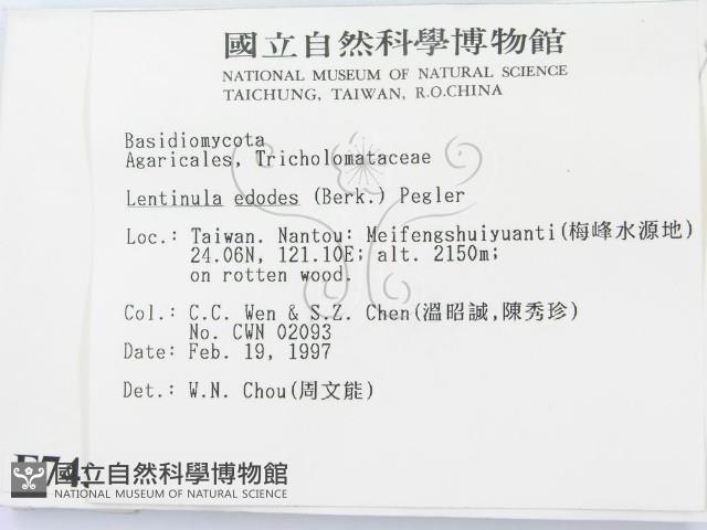 香菇	藏品圖，第2張