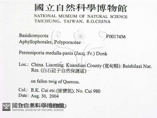 登錄號:F0017456藏品圖，第2張