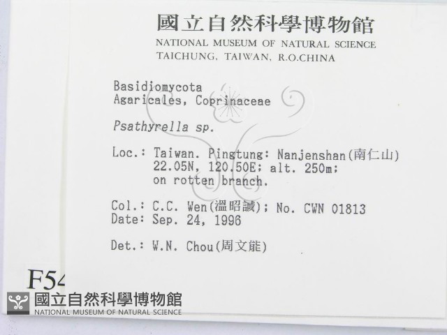 登錄號:F0005456藏品圖，第2張