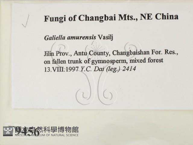 登錄號:F0009456藏品圖，第2張