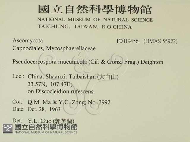 登錄號:F0019456藏品圖，第2張