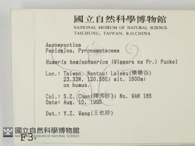 登錄號:F0003456藏品圖，第2張