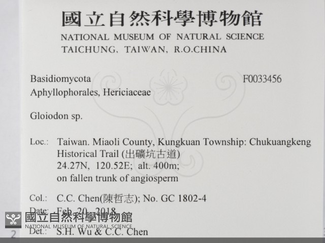 登錄號:F0033456藏品圖，第2張