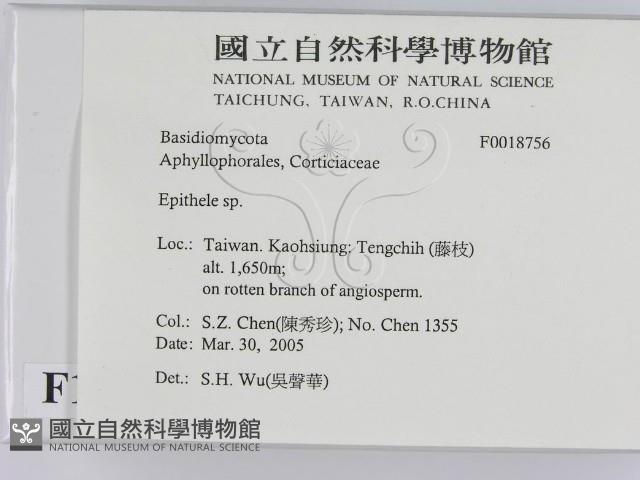 登錄號:F0018756藏品圖，第2張