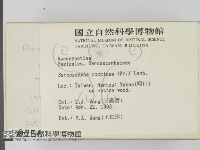 登錄號:F0000756藏品圖，第2張