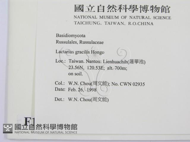 登錄號:F0010756藏品圖，第2張