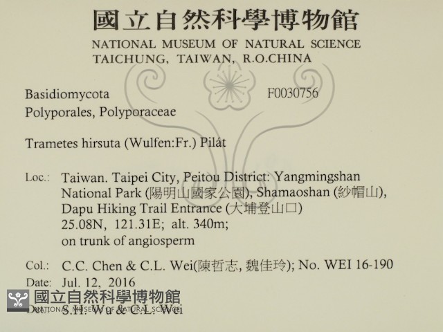 登錄號:F0030756藏品圖，第2張