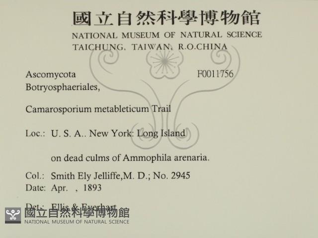 登錄號:F0011756藏品圖，第2張