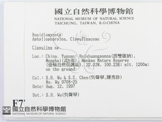 登錄號:F0007756藏品圖，第2張