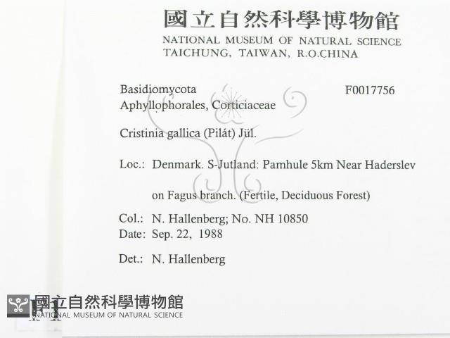 登錄號:F0017756藏品圖，第2張