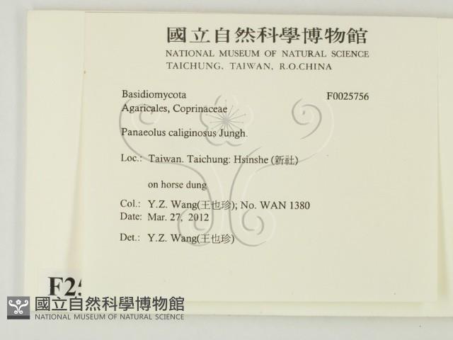 登錄號:F0025756藏品圖，第2張