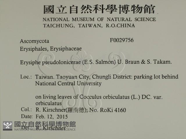 登錄號:F0029756藏品圖，第2張