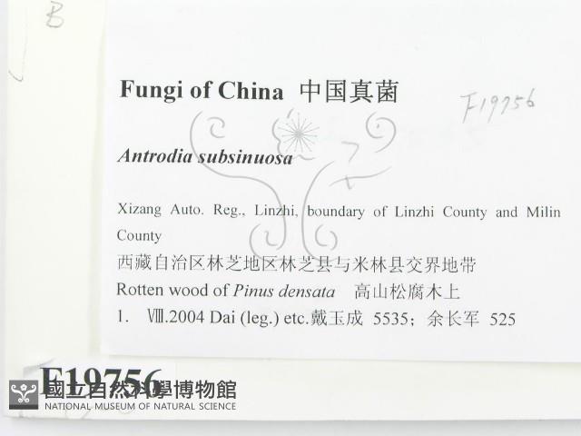 登錄號:F0019756藏品圖，第2張