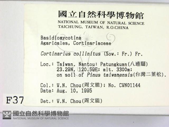 登錄號:F0003756藏品圖，第2張