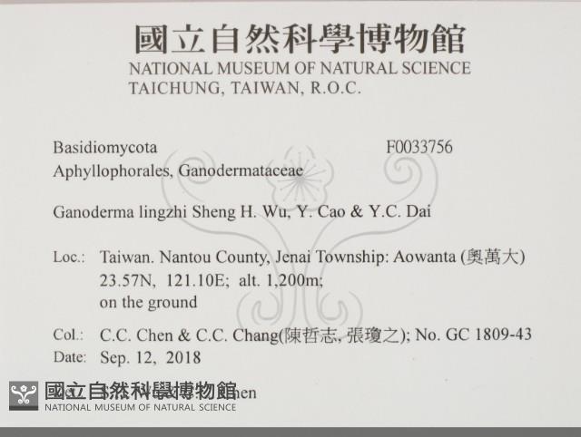 登錄號:F0033756藏品圖，第2張