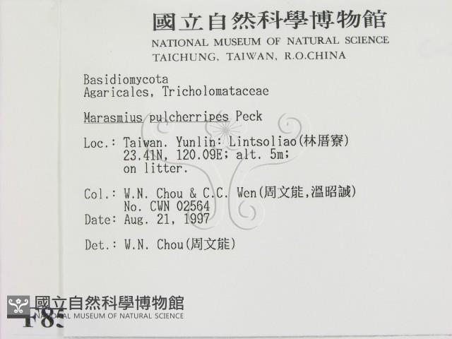 登錄號:F0008556藏品圖，第2張