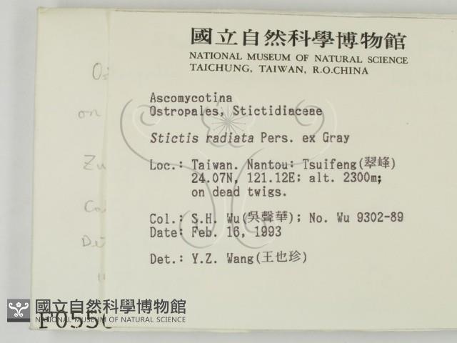 登錄號:F0000556藏品圖，第2張