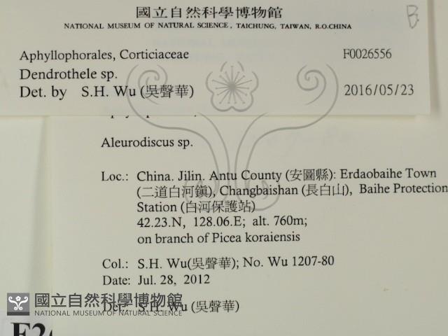 登錄號:F0026556藏品圖，第2張