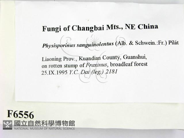 登錄號:F0006556藏品圖，第2張