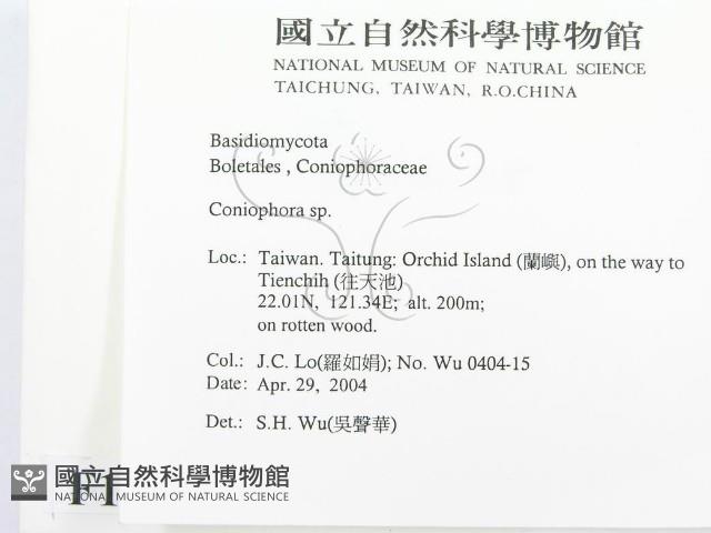 登錄號:F0016556藏品圖，第2張