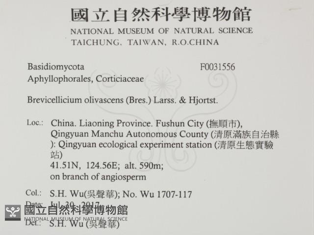 登錄號:F0031556藏品圖，第2張