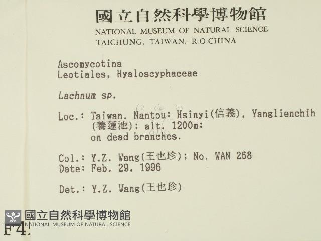 登錄號:F0004556藏品圖，第2張