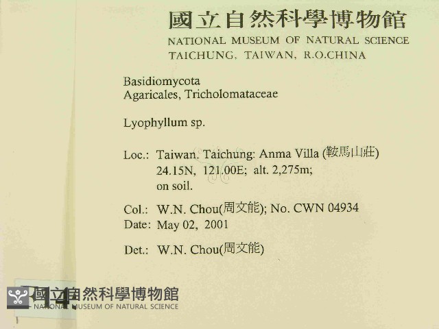 登錄號:F0014556藏品圖，第2張