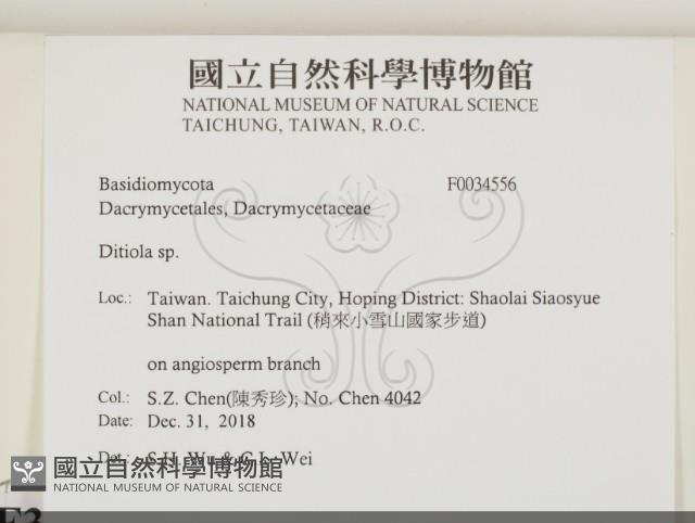 登錄號:F0034556藏品圖，第2張