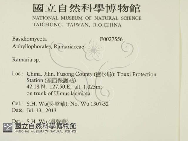 登錄號:F0027556藏品圖，第2張