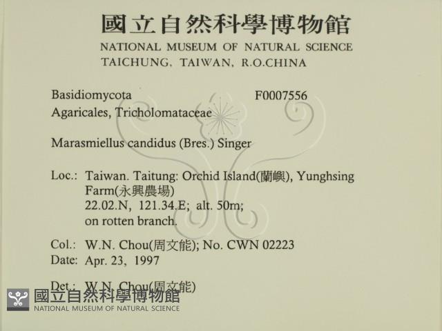 登錄號:F0007556藏品圖，第2張