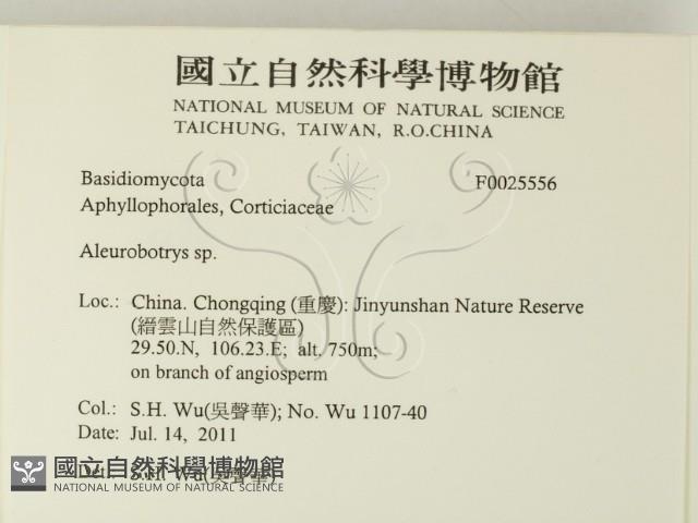 登錄號:F0025556藏品圖，第2張