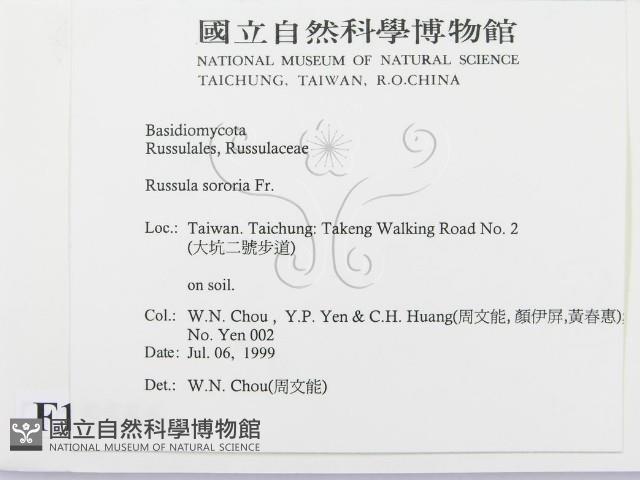 登錄號:F0015556藏品圖，第2張