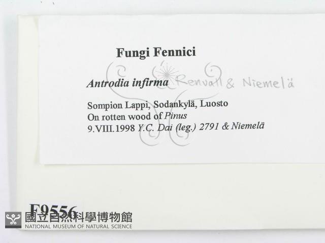 登錄號:F0009556藏品圖，第2張