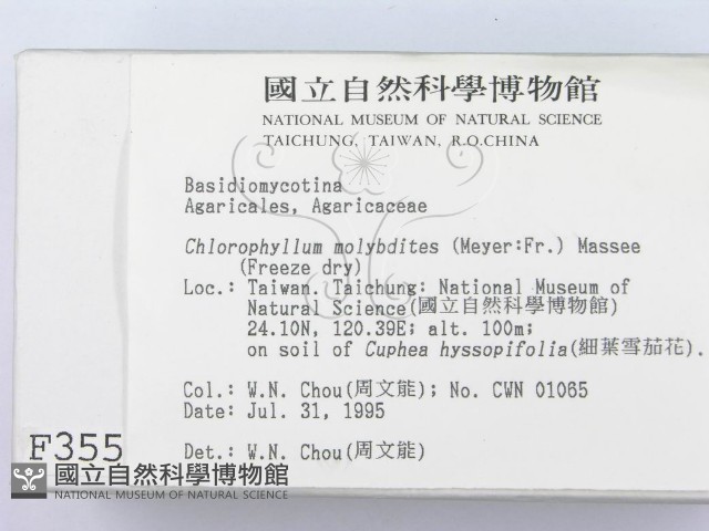 登錄號:F0003556藏品圖，第2張