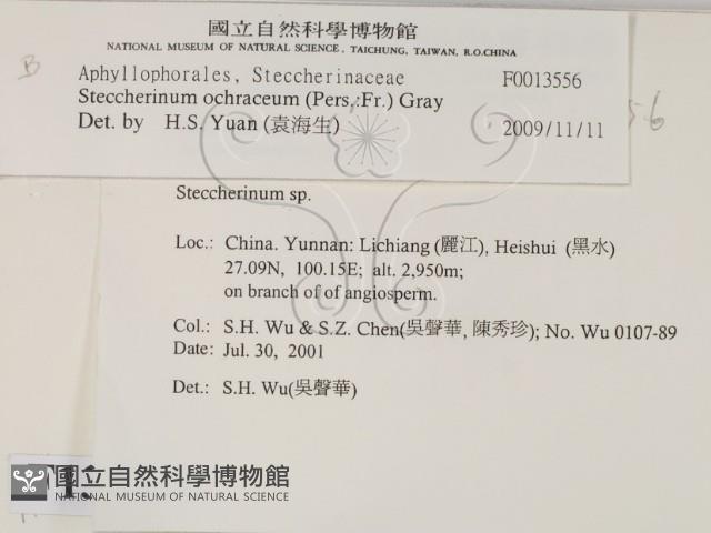 登錄號:F0013556藏品圖，第2張