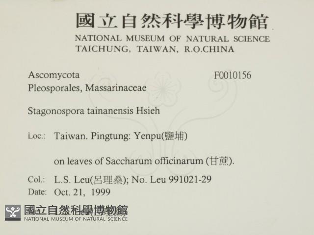 登錄號:F0010156藏品圖，第2張