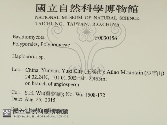 登錄號:F0030156藏品圖，第2張