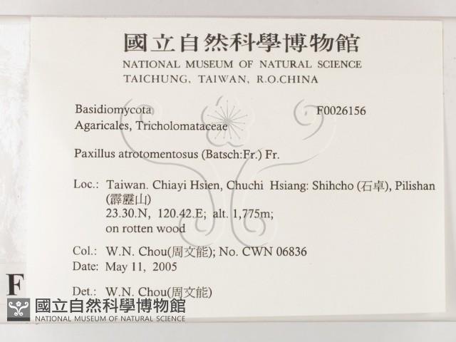 登錄號:F0026156藏品圖，第2張