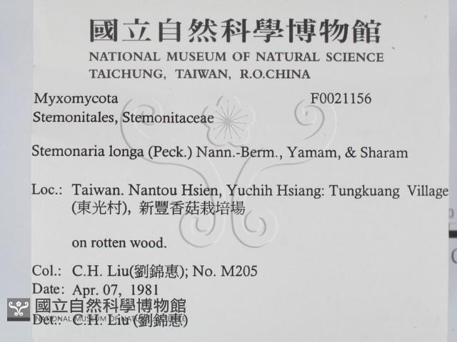 登錄號:F0021156藏品圖，第2張