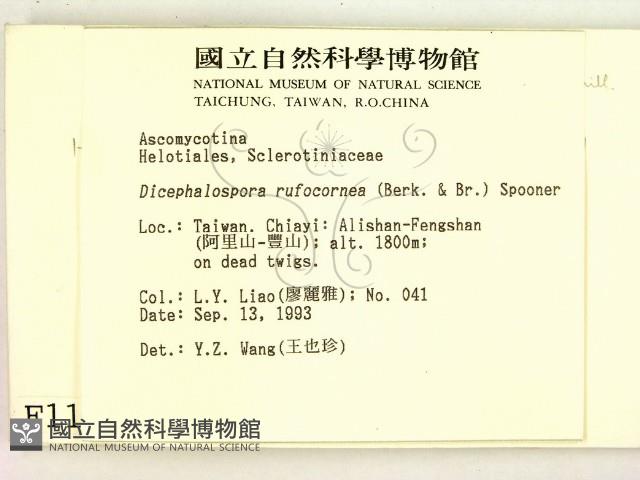 登錄號:F0001156藏品圖，第2張