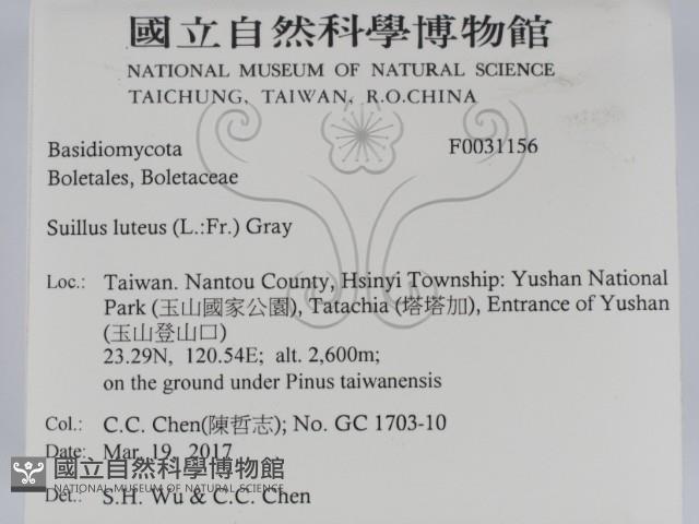 登錄號:F0031156藏品圖，第2張